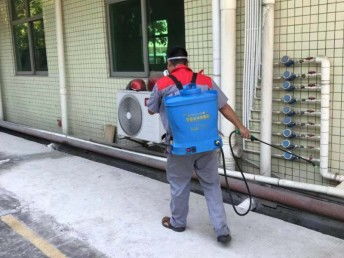 深圳臭蟲(chóng)防治 工廠、宿舍、辦公室與家庭全面消殺指南