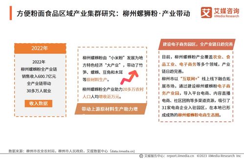 技術(shù)賦能與消費(fèi)驅(qū)動 2024年中國方便粉面食品行業(yè)洞察與趨勢展望——基于中國食品科學(xué)技術(shù)學(xué)會與艾媒咨詢研究報告的交流探討